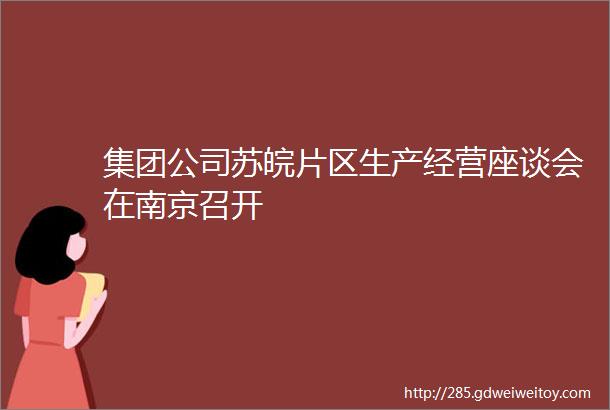 集团公司苏皖片区生产经营座谈会在南京召开